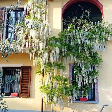 La Casa Dei Masue' Guest House อัลบา ภายนอก รูปภาพ