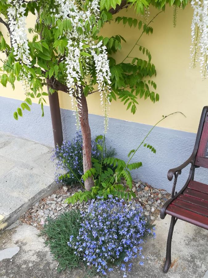 La Casa Dei Masue' Guest House อัลบา ภายนอก รูปภาพ