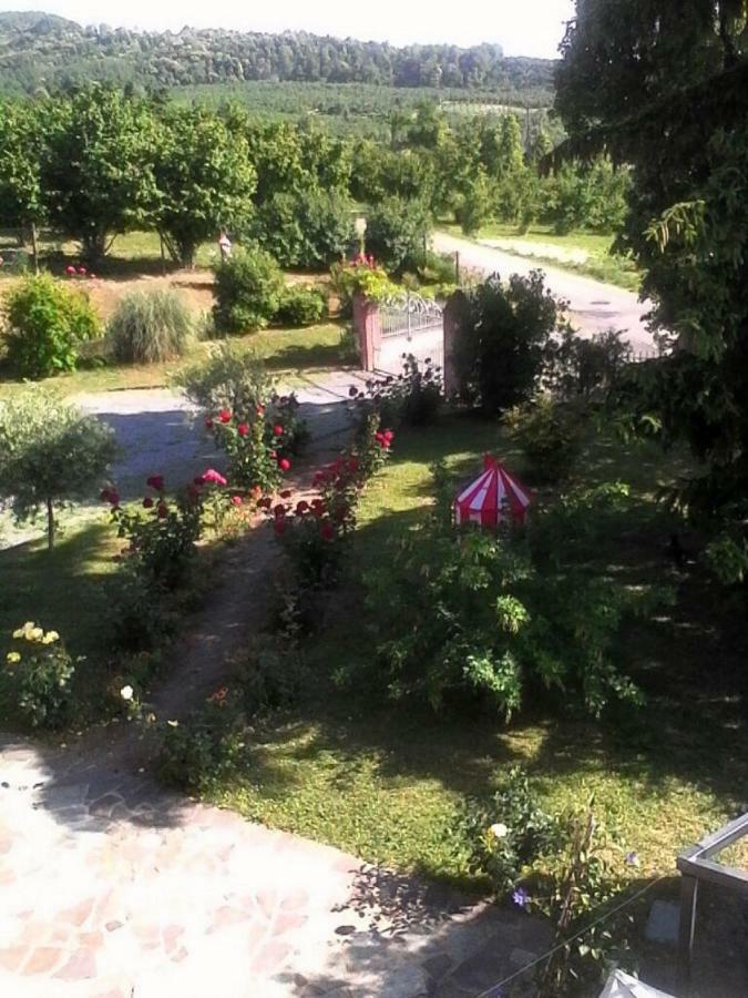 La Casa Dei Masue' Guest House อัลบา ภายนอก รูปภาพ