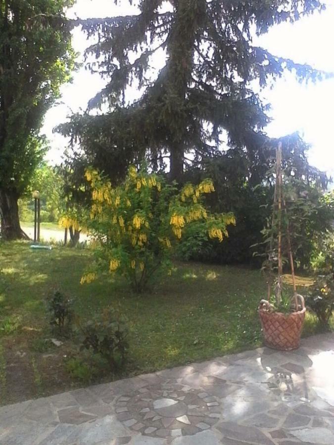 La Casa Dei Masue' Guest House อัลบา ภายนอก รูปภาพ