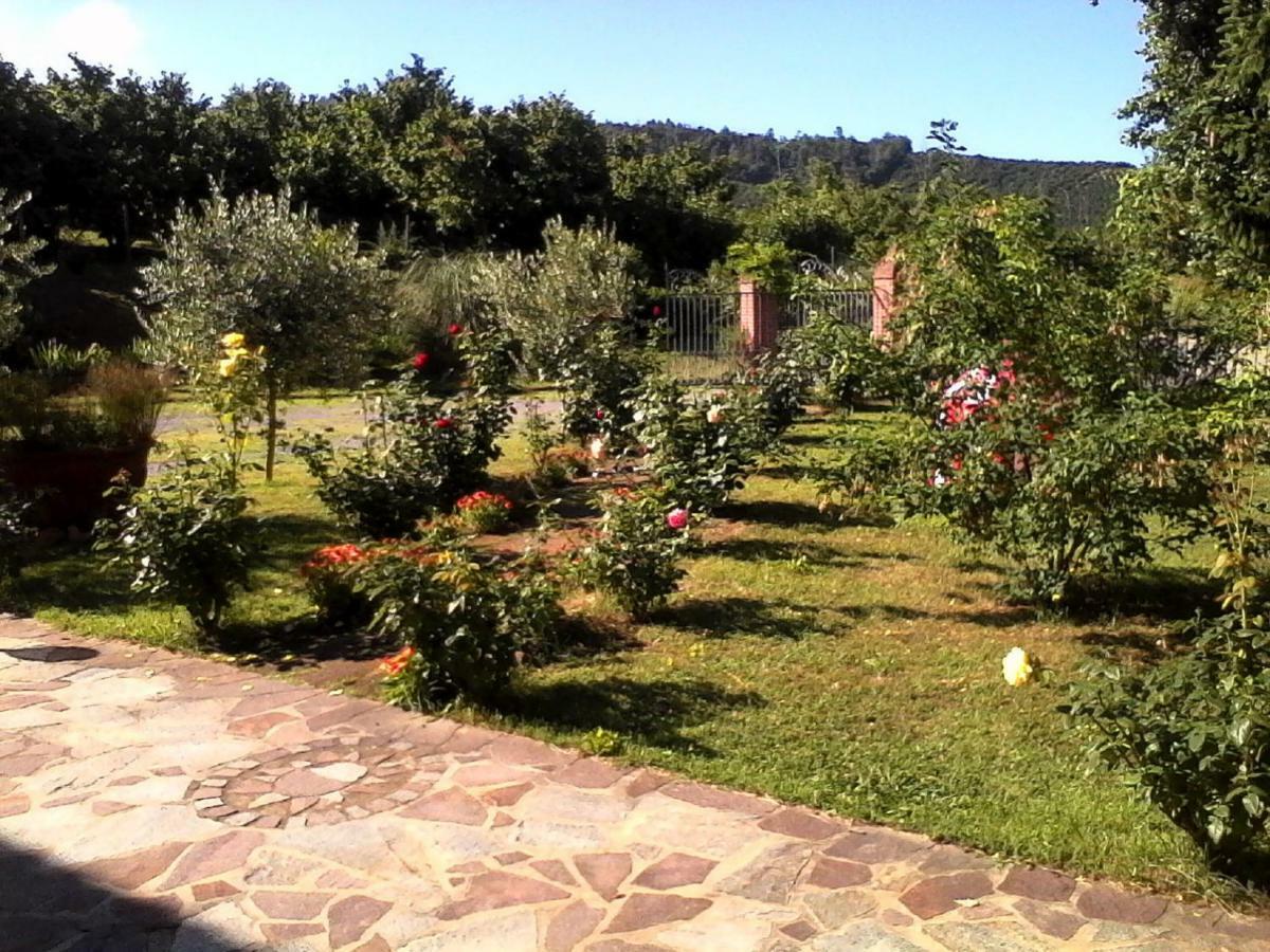 La Casa Dei Masue' Guest House อัลบา ภายนอก รูปภาพ