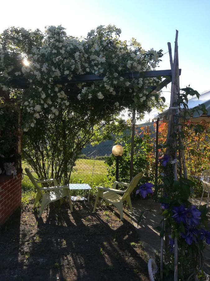 La Casa Dei Masue' Guest House อัลบา ภายนอก รูปภาพ